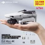 DJI Mini 4K