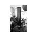 sE Electronics / Rupert Neve RNR1 アクティブリボンマイク