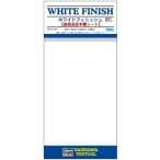 Telefunken TF11 コンデンサーマイク