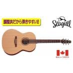 Seagull Coastline S6 Slim